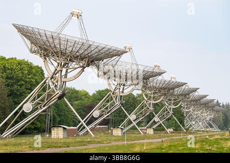 Radioteleskope des Westerbork Synthesis Radio Telescope (WSRT) in den Niederlanden. Das WSRT besteht aus vierzehn 25 m (82 ft) Radioteleskopen. Stockfoto