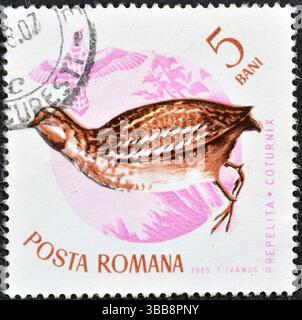 Gestempelte Briefmarke, gedruckt von Rumänien, auf der Gemeine Wachtel (Coturnix coturnix) zu sehen ist, um 1965. Stockfoto