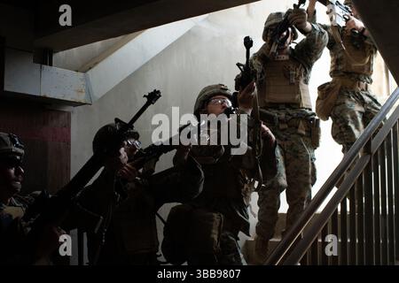 US-Marines mit Kompanie A, 9. Engineer Support Battalion, 3rd Marine Logistics Group und Republic of Korea (ROK) Marines mit der 3rd Engineer Company, 1st Engineer Battalion, 1st Marine Division, verlassen eine Treppe während einer bilateralen Militäroperation auf urbanem Gelände im Rahmen des Korean Marine Exchange Program 25,1 im Rodriguez Live Fire Complex, Südkorea, 15. März 2025. Diese Schulung wurde durchgeführt, um beide Einheiten mit der einzigartigen Ausrüstung vertraut zu machen, die jede Truppe verwendet, um gegenseitiges Verständnis zu vermitteln und den Zusammenhalt zwischen der Marine A zu verbessern Stockfoto