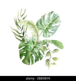 Tropisches Bouquet aus grünen Blättern von Monstera, Banane, Palme, Liana. Handgezeichnete Aquarellillustration isoliert auf weiß. Für Postkarten, Einladungen Stockfoto