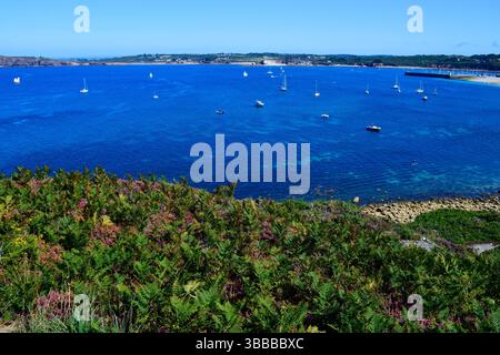 Camaret sur Mer, Presqu'ile de Crozon, Parc naturel regional d'Armorique, Bretagne, Departement Finistere, Frankreich. Stockfoto