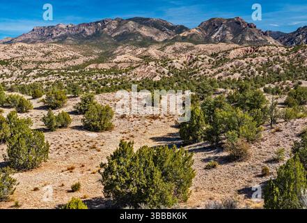 Sheridan Mountain auf der rechten Seite, Holt Mountain auf der linken Seite in den Mogollon Mountains, Blick von US-180 in der Nähe der Siedlung Glenwood, Gila Natl Forest, New Mexico Stockfoto