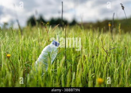 Benutzte Plastikflasche, die in ein grünes Feld geworfen wird, das die Umwelt verstreut. Stockfoto