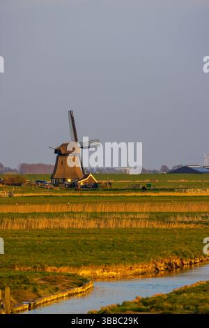 Malerische niederländische Windmühle in der ländlichen Landschaft von Schoorl, Nordholland, getaucht in das warme Licht der untergehenden Sonne Stockfoto