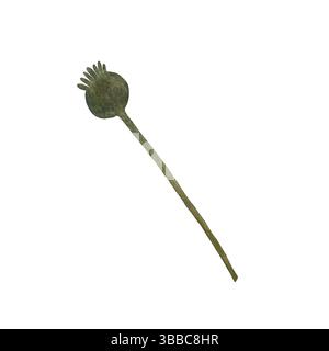 Rote Mohnblume mit Blumenblume. Isoliertes Mohndarstellungselement. Roter Mohn in Aquarelltechnik, funkelnd mit hellen Blütenblättern. Roter Mohn Stockfoto