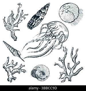 Handgezeichnete Vektorskizze Illustration von Quallen, Muscheln und Korallen. Meereslebewesen und Designelemente. Unterwasser-Tropenmeer-Kollektion i Stock Vektor