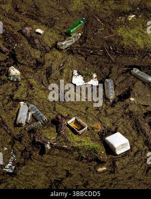 Schwimmender Plastikmüll in einem Staudamm, Portugal. Stockfoto