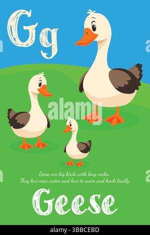 Kinder-Alphabet-Illustration für Buchstabe G mit Gänsen in flacher Vektorart. Stock Vektor