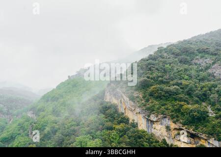 Neblige Berglandschaft mit üppig grünen Wäldern, die felsige Klippen bedecken. Ätherischer Nebel, der durch die grünen Berghänge strömt und Kalksteinformatio enthüllt Stockfoto