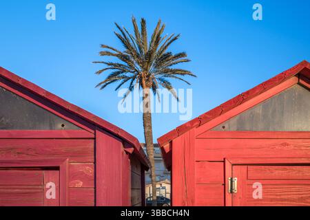 Palme, eingerahmt von leuchtenden roten Strandhütten vor klarem blauem Himmel. Mediterrane Holzhütten am Strand mit sandigem Weg, der symmetrische Kompositionen schafft Stockfoto