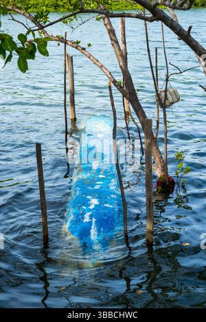 Blick auf ein blaues Kanu, das auf einem Fluss unter Wasserbäumen auf den Kopf gestellt wurde. Transportmittel Stockfoto