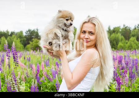 moskau, russland, 13.07.2017 Eine Frau hält einen kleinen Hund in einem Feld aus violetten Blumen. Die Szene ist friedlich und ruhig, mit der Frau und ihrem Hund Stockfoto
