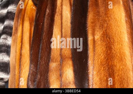 Wintermäntel hängen an Kleiderbügeln, Nahaufnahme. Stockfoto