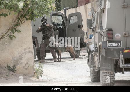 Nablus, Palästina. Mai 2025. Ein israelischer Soldat, begleitet von einem Polizeihund, nimmt während der Militäroperation Stellung. Die israelische Armee umzingelte ein Gebäude während einer Militäroperation, bei der fünf Palästinenser getötet wurden, die sich darin verbarrikadiert hatten. In der Stadt Tammun, nördlich des Jordantals im Westjordanland, brach ein Feuerwechsel zwischen Palästinensern und der israelischen Armee aus. Quelle: SOPA Images Limited/Alamy Live News Stockfoto