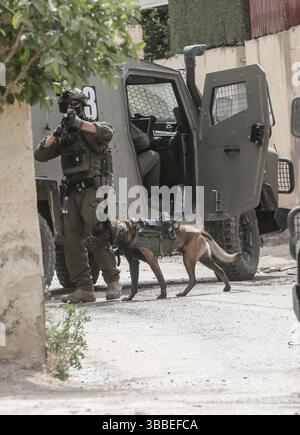 Nablus, Palästina. Mai 2025. Ein israelischer Soldat, begleitet von einem Polizeihund, nimmt während der Militäroperation Stellung. Die israelische Armee umzingelte ein Gebäude während einer Militäroperation, bei der fünf Palästinenser getötet wurden, die sich darin verbarrikadiert hatten. In der Stadt Tammun, nördlich des Jordantals im Westjordanland, brach ein Feuerwechsel zwischen Palästinensern und der israelischen Armee aus. Quelle: SOPA Images Limited/Alamy Live News Stockfoto