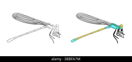 Dragonfly isolierte Illustrationsset mit bunten und umrissenen Insekten Stock Vektor