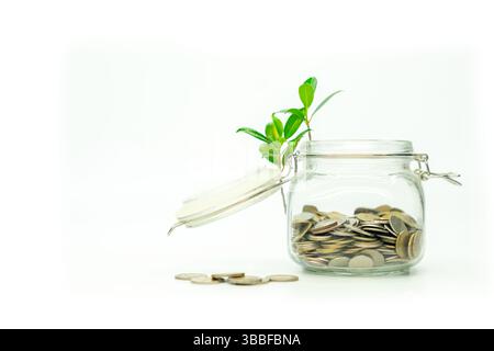 Pflanzen wachsen innen und außen und Keimlinge aus Sparmünzen in einem transparenten Gefäß Stockfoto