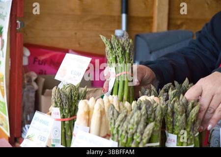 16.05.2025, Hörsching / Linz, AUT, unterwegs in Oberösterreich, Themenbild, Symbolbild, Verschiedene Themenbilder, im Bild Erntefrischer Spargel, Verkaufsstand für Erdbeeren und Spargel, Grüner und Weisser Spargel, Nahrungsmittel, Gemuese, Essen, *** 16 05 2025, Hörsching Linz, AUT, unterwegs in Oberösterreich, Themenbild, Symbolbild, verschiedene Themenbilder, im Bild frisch geernteter Spargel, Verkaufsstand für Erdbeeren und Spargel, grüner und weißer Spargel, Lebensmittel, Gemüse, Lebensmittel, Lebensmittel, Lebensmittel Stockfoto