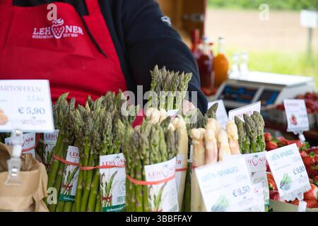 16.05.2025, Hörsching / Linz, AUT, unterwegs in Oberösterreich, Themenbild, Symbolbild, Verschiedene Themenbilder, im Bild Erntefrischer Spargel, Verkaufsstand für Erdbeeren und Spargel, Grüner und Weisser Spargel, Nahrungsmittel, Gemuese, Essen, *** 16 05 2025, Hörsching Linz, AUT, unterwegs in Oberösterreich, Themenbild, Symbolbild, verschiedene Themenbilder, im Bild frisch geernteter Spargel, Verkaufsstand für Erdbeeren und Spargel, grüner und weißer Spargel, Lebensmittel, Gemüse, Lebensmittel, Lebensmittel, Lebensmittel Stockfoto