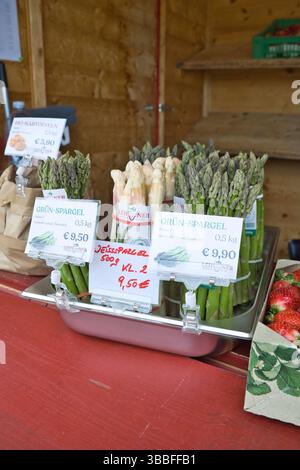 16.05.2025, Hörsching / Linz, AUT, unterwegs in Oberösterreich, Themenbild, Symbolbild, Verschiedene Themenbilder, im Bild Erntefrischer Spargel, Verkaufsstand für Erdbeeren und Spargel, Grüner und Weisser Spargel, Nahrungsmittel, Gemuese, Essen, *** 16 05 2025, Hörsching Linz, AUT, unterwegs in Oberösterreich, Themenbild, Symbolbild, verschiedene Themenbilder, im Bild frisch geernteter Spargel, Verkaufsstand für Erdbeeren und Spargel, grüner und weißer Spargel, Lebensmittel, Gemüse, Lebensmittel, Lebensmittel, Lebensmittel Stockfoto