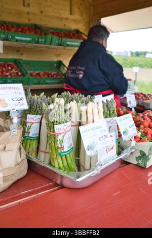 16.05.2025, Hörsching / Linz, AUT, unterwegs in Oberösterreich, Themenbild, Symbolbild, Verschiedene Themenbilder, im Bild Erntefrischer Spargel, Verkaufsstand für Erdbeeren und Spargel, Grüner und Weisser Spargel, Nahrungsmittel, Gemuese, Essen, *** 16 05 2025, Hörsching Linz, AUT, unterwegs in Oberösterreich, Themenbild, Symbolbild, verschiedene Themenbilder, im Bild frisch geernteter Spargel, Verkaufsstand für Erdbeeren und Spargel, grüner und weißer Spargel, Lebensmittel, Gemüse, Lebensmittel, Lebensmittel, Lebensmittel Stockfoto
