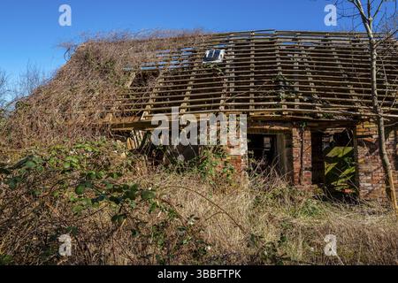 Verlassene und verlassene Bauernhäuser auf unbebautem Land in Rügen, Mecklenburg-Vorpommern, Deutschland, Europa Stockfoto