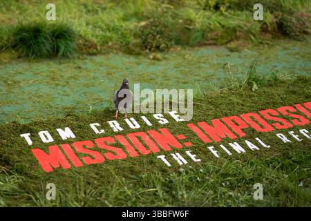 London, Großbritannien. Mai 2025. Pigeon bei der Weltpremiere von Mission Impossible The Final Reckoning in Leicester Square Gardens. London, Großbritannien am 15. Mai 2025. Foto: LounisPhotography/ABACAPRESS.COM Credit: Abaca Press/Alamy Live News Stockfoto