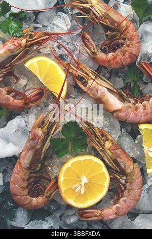 Tigergarnelen, gekocht und gefroren, auf Eis, Draufsicht, Nahaufnahme, keine Personen Stockfoto