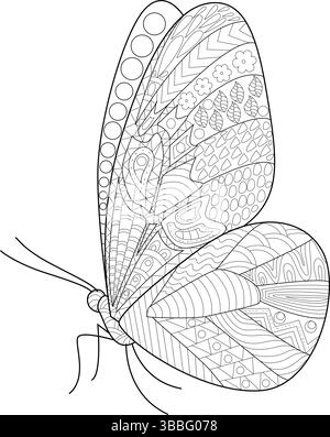 Detaillierte schwarz-weiße Linienzeichnung eines Schmetterlings mit dekorativen, komplizierten Mustern auf seinen Flügeln, perfekt zum Ausmalen von Seiten, Malbuch für Erwachsene Stock Vektor