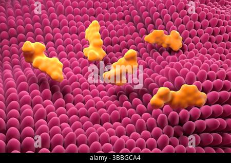 Pantoprazol im Magen - isometrische 3D-Darstellung Stockfoto