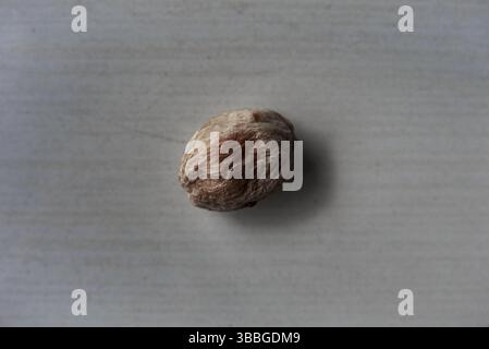 Ein abstraktes Kunstkonzept: Eine entsättigte getrocknete Aprikose, die Schimmelpilze auf ihrer Oberfläche realistisch simuliert (obwohl sie in Wirklichkeit nicht geformt ist) Stockfoto