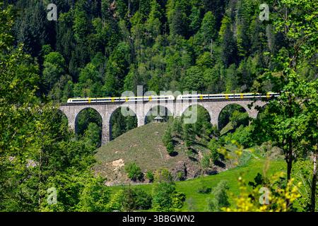 Hoellentalbahn über das Ravenna Viadukt im Hoellental bei Hinterzarten, Schwarzwald, Baden-Württemberg, Deutschland, Europa Stockfoto