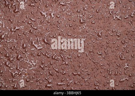 Feuchtes braunes Gewebe nach Regen draußen als Hintergrund Stockfoto