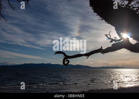 Sonnenhund-Phänomen über dem Bodensee Stockfoto