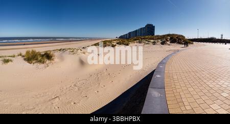Eine ruhige Küstenszene mit ausgedehntem Sandstrand, Küstendünen und Meer im Sonnenlicht. Ideal für Naturkonzepte, Entspannung, Urlaub, A Stockfoto