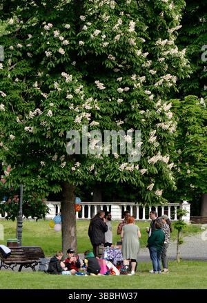 Die Familie hat ein entspanntes Wochenende unter einem Baum im Park, mit Kindern, die Karten spielen und Erwachsenen, die sich unterhalten, in Sofia Bulagaria, Osteuropa, Balkan, EU Stockfoto