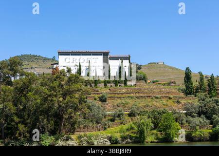 Quinta do Roeda, Croft Vineyards, in der Nähe von Pinhão, Fluss Douro Tal, Alto Douro, Portugal, Europa Stockfoto