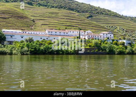 Quinta das Carvalhas, Royal Porto Real Companhia Velha, in der Nähe von Pinhão, Douro-Tal, Alto Douro, Portugal, Europa Stockfoto