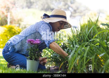 Ältere Frau kniet auf dem Rasen im Garten im Garten, pflegt Boden durch grünen Topf mit lila Blumen Stockfoto
