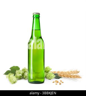 Frisches Bier in der Glasflasche mit Hopfenblüten und Weizenohren auf weißem Hintergrund Stockfoto