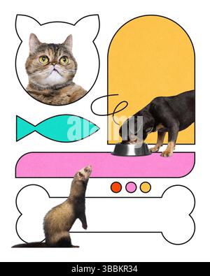 Tabby-Katze, Frettchen und Hund interagieren mit Knochen, Schüssel und Fischsymbol im stilvollen rosa-orangen Layout. Stockfoto