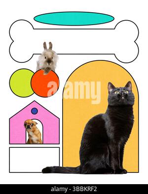 Kaninchen, chihuahua und große schwarze Katze sitzen zwischen Knochen, Bällen und Häusersymbolen im verspielten Collage-Design. Stockfoto