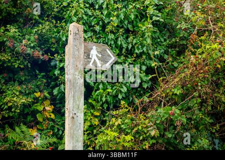 Hölzernes Schild für öffentliche Fußwege mit Hecke im Hintergrund in Nordwales Großbritannien. Stockfoto