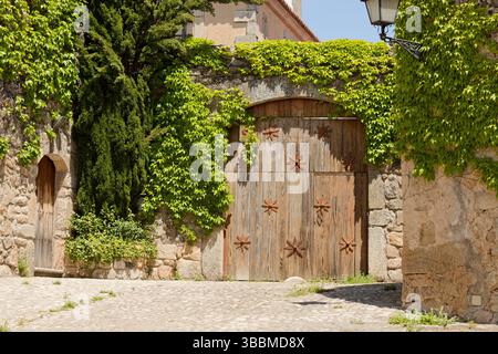 Rostiges Metalldesign an einem Eingangstor. Ivy wächst über die Mauer. Metallverzierungen auf einer Holzoberfläche. Stockfoto