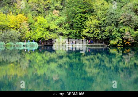 Holzweg, der sich entlang des ruhigen Wassers des Nationalparks Plitvicer Seen, Kroatien, windet, umgeben von lebhaften Herbstbäumen und natürlichen Kalksteinklippen Stockfoto