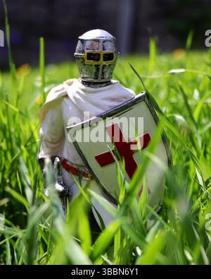 Nahaufnahme eines Musterritters im hohen Gras Stockfoto