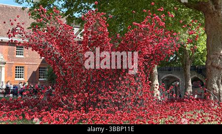 Keramikmohn in Form einer Krone im Tower of London, Großbritannien Stockfoto