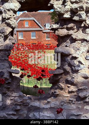 Blick durch die alte Steinmauer im Tower of London auf die Ausstellung von farbenfrohen roten Keramikmohn zur Erinnerung an den VE Day Stockfoto