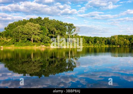 see Dechantlacke im Bereich Lobau im Nationalpark Donauauen Donau-Auen-Nationalpark Wien 22. Donaustadt Wien Österreich Stockfoto