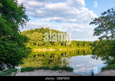 see Dechantlacke im Bereich Lobau im Nationalpark Donauauen Donau-Auen-Nationalpark Wien 22. Donaustadt Wien Österreich Stockfoto
